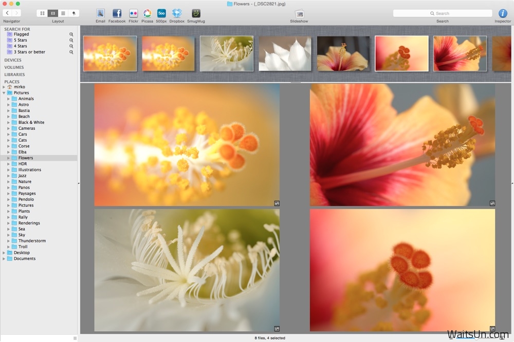 Lyn for Mac 1.5.11 破解版 – Mac上优秀的图片浏览软件-麦氪派