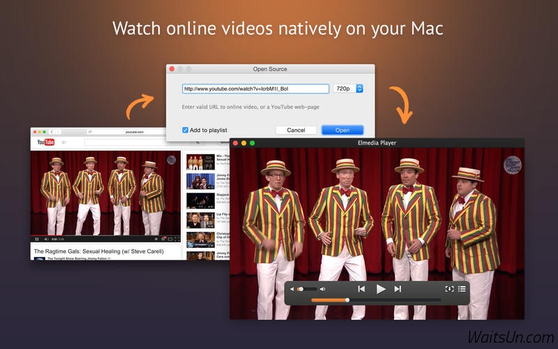 Elmedia Player Pro for Mac 6.5.1 破解版 – 在线视频下载和视频播放的工具-麦氪派