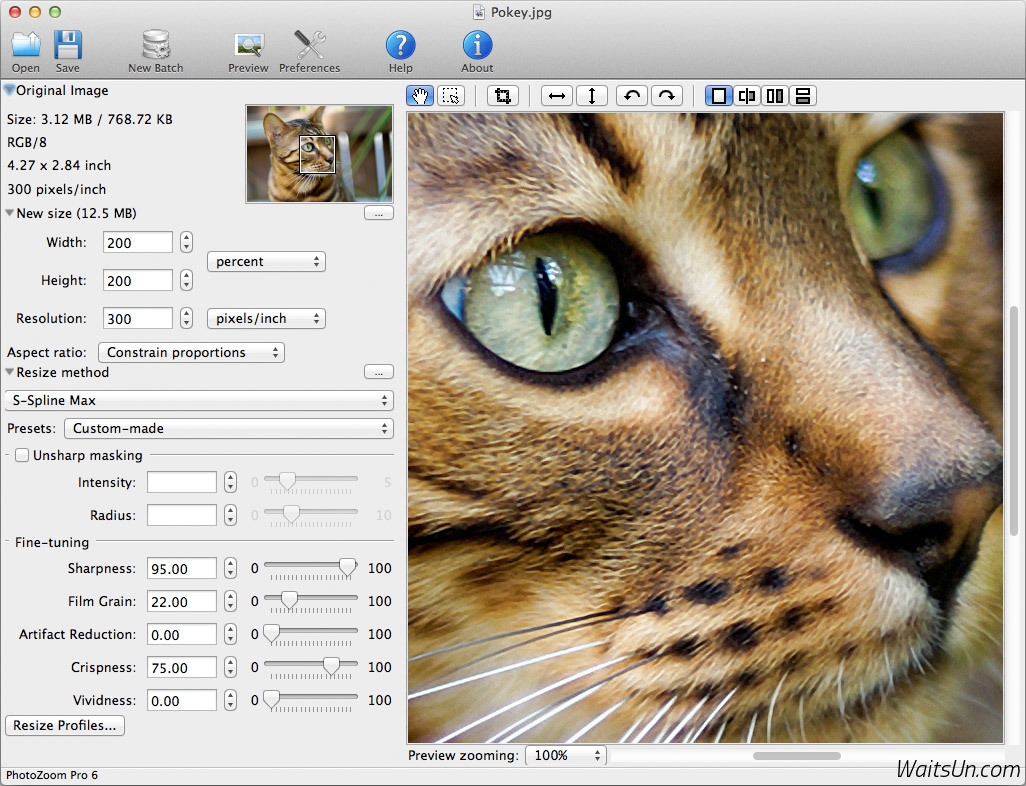 PhotoZoom Pro 6 for Mac 6.0.2 序号版 – Mac 上强大的图片无损放大工具-麦氪派