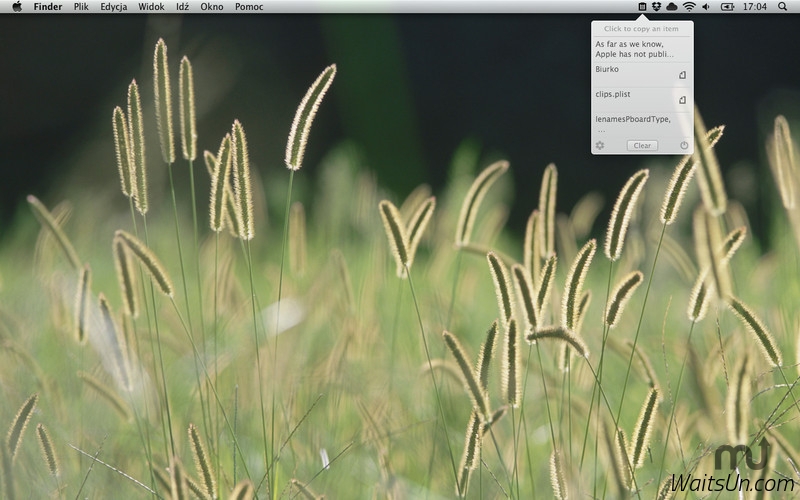 Nice Clipboard for Mac 1.3.0 激活版 – 剪贴板历史管理