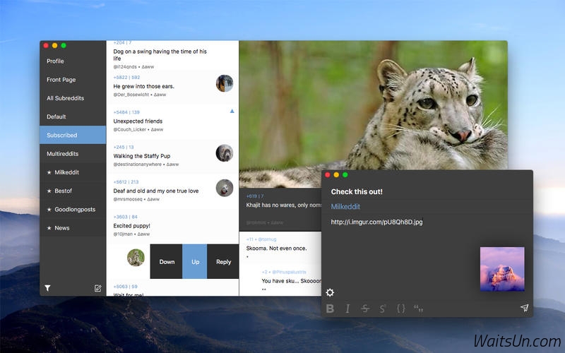 Milkeddit for Mac 1.3 破解版 - 功能丰富的reddit客户端