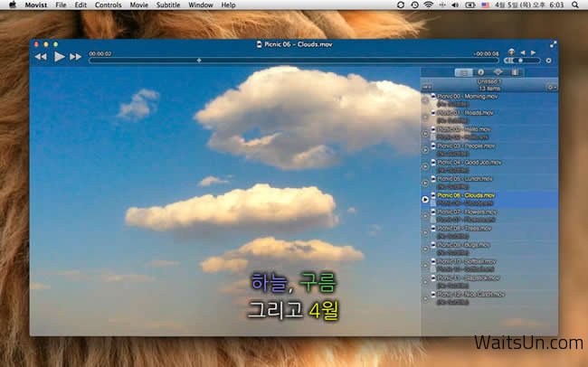 Movist for Mac 1.3.16 中文破解版 – Mac上的暴风影音-麦氪派
